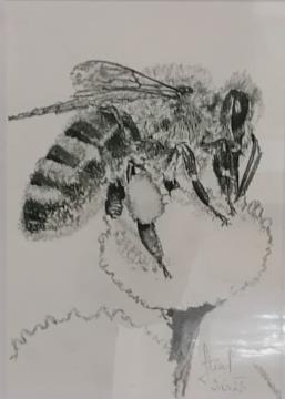 27.06.2023 - Branko Strnad ČEBELA